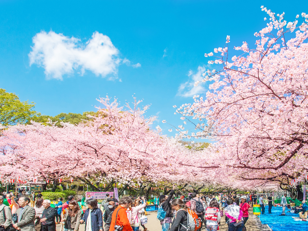 Cek, 10 Destinasi Terbaik di Jepang