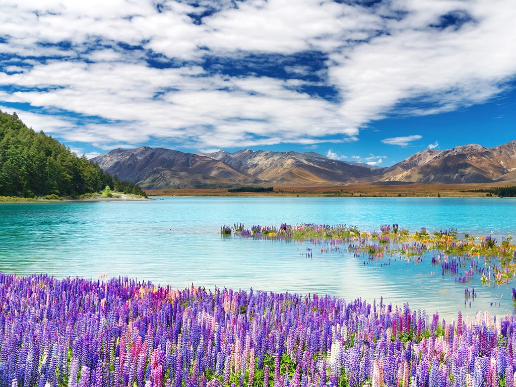 Yuk Kunjungi 7 Tempat Wisata di New Zealand yang Mempesona!