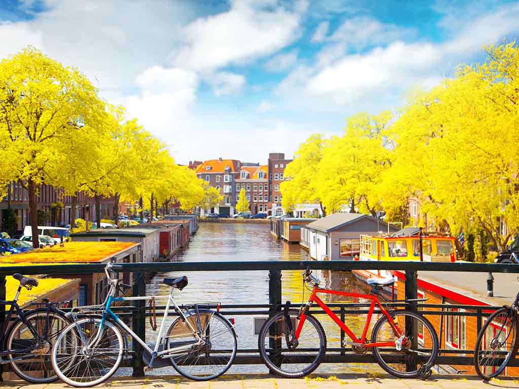 Keindahan ‘Kota Bunga Tulip’ Amsterdam di Musim Gugur