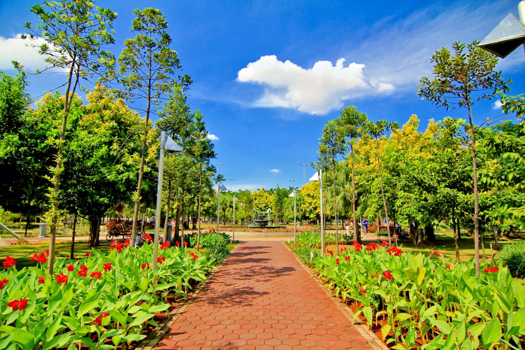 Kunjungi 5 Taman Terbaik di Jakarta ini, Bikin Hati Sejuk!