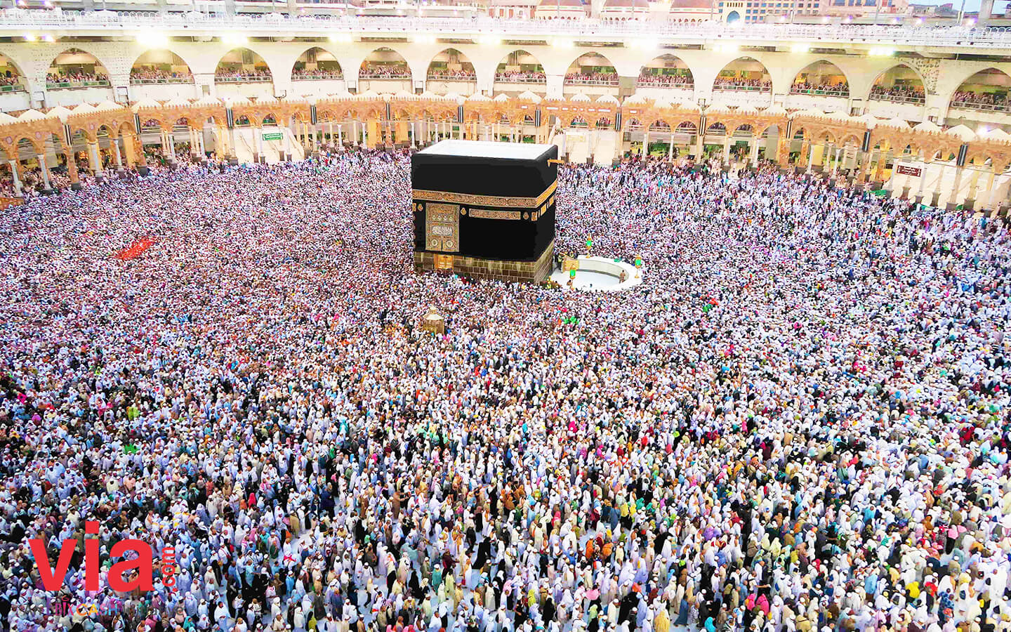 Tradisi Idul Adha Berbagai Negara di Dunia