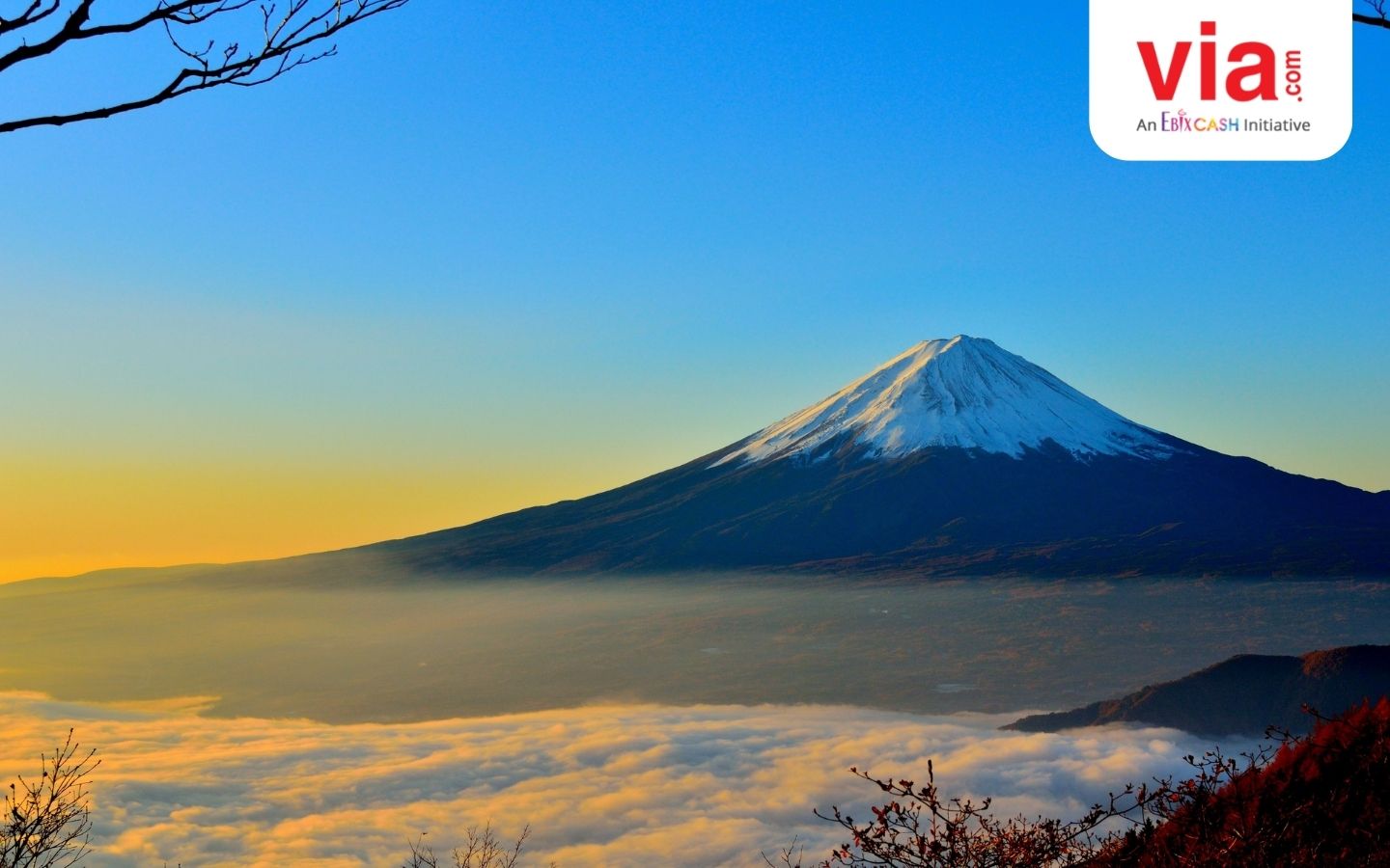 5 Fakta Unik Gunung Fuji yang Cantik