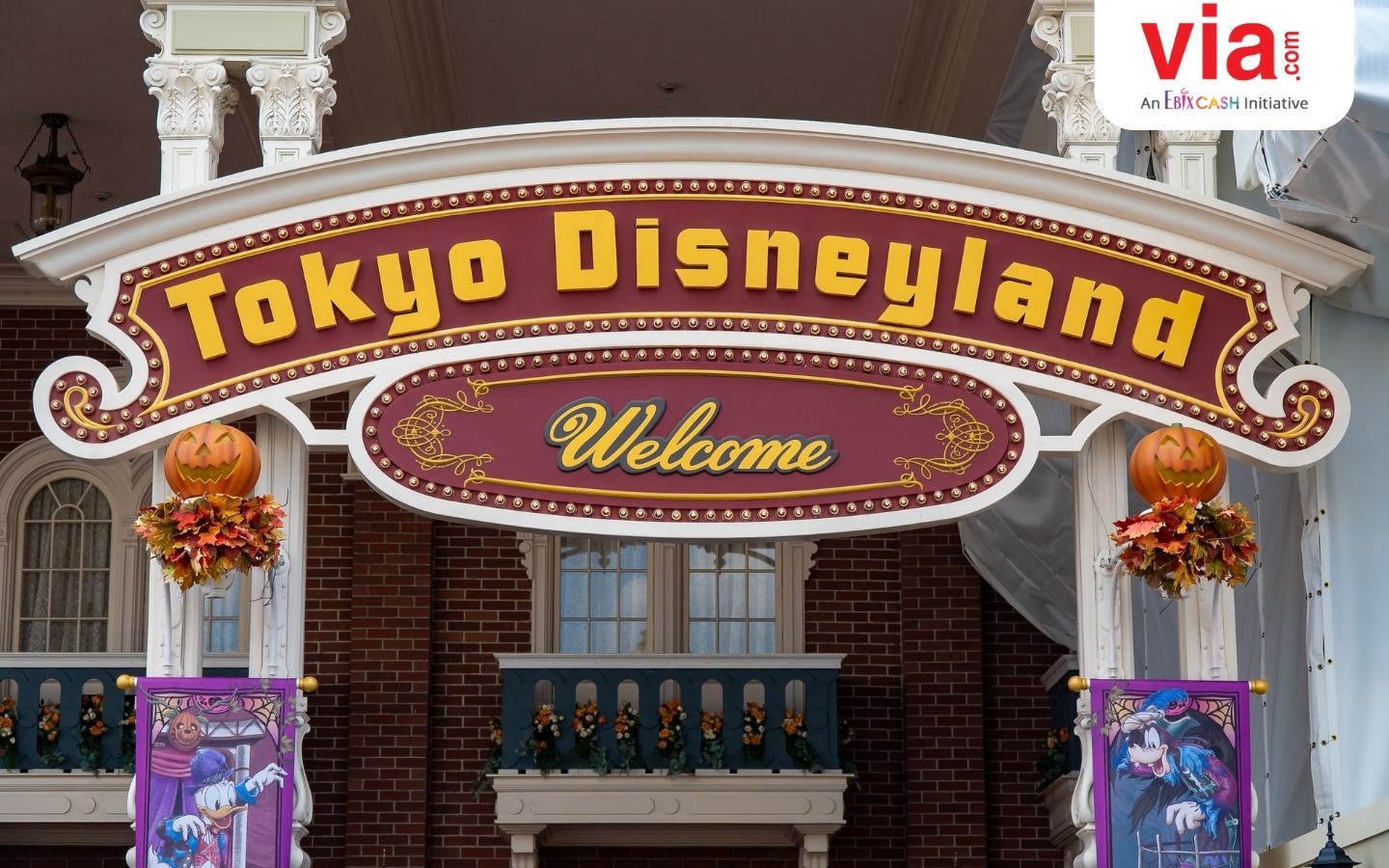 Ada Keunikannya! Ini dia 3 Perbedaan Disneyland dan Disneysea di Tokyo
