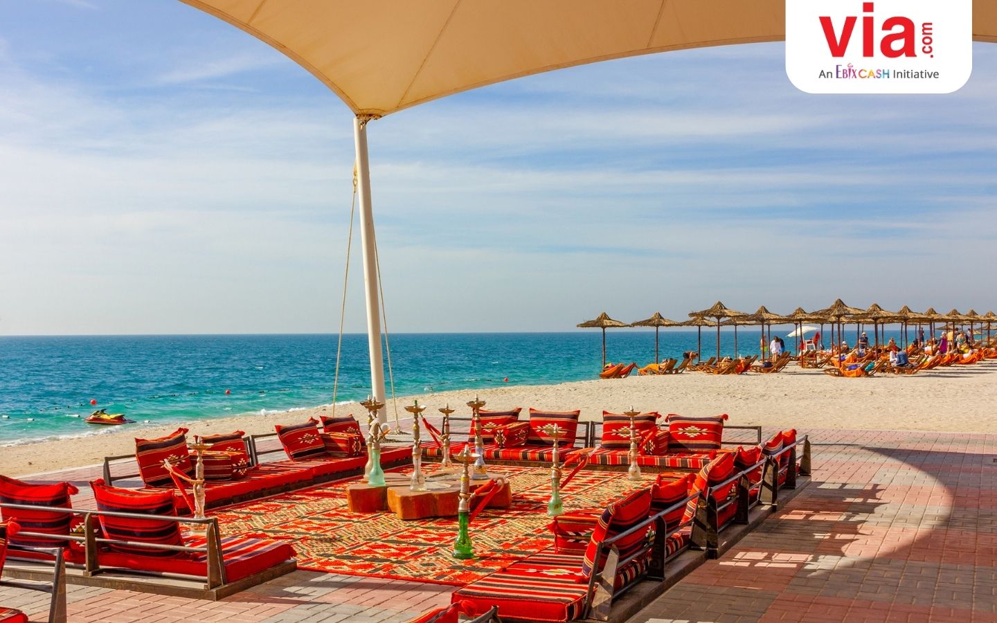 Jelajahi Serunya Pulau Sir Bani Yas di Abu Dhabi dengan 5 Atraksi Keren!