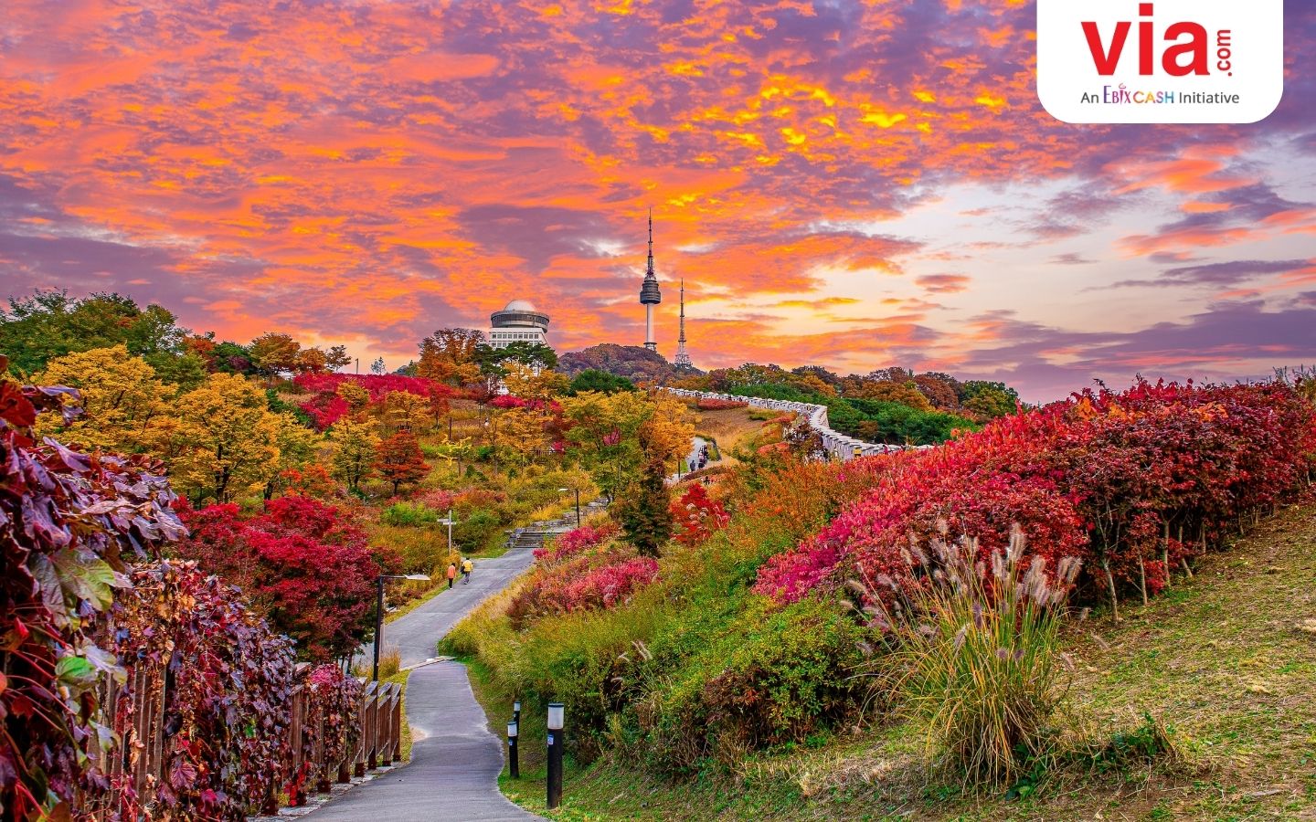 Rekap 4 Destinasi Cantik untuk Nikmati Kindahan Musim Gugur di Korea Selatan