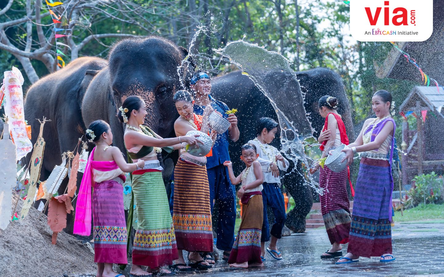 Nikmati Keunikan Elephant Show: Lengkapi Liburan di Thailand