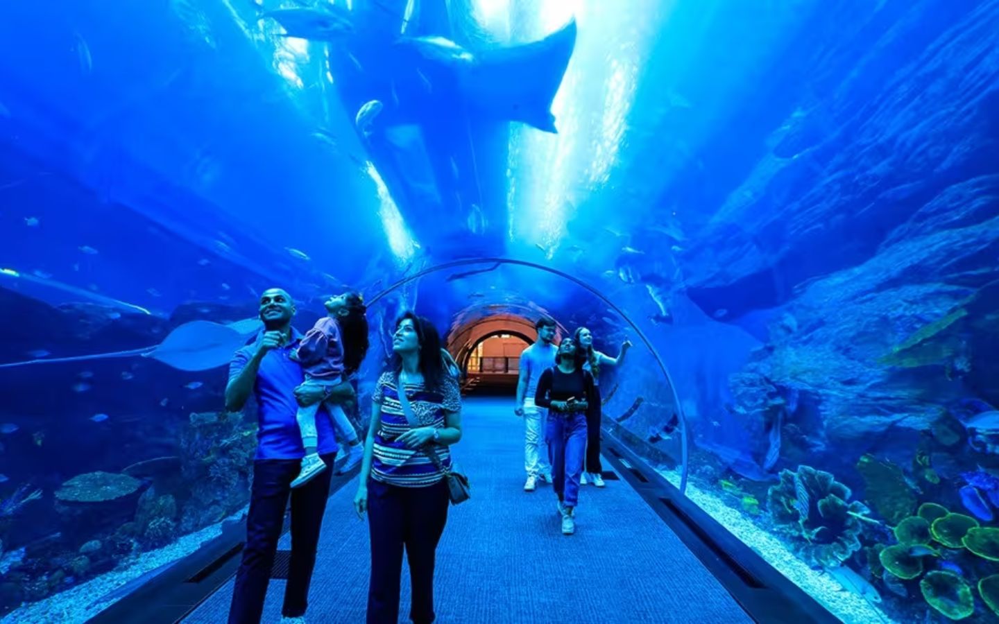 Momen Berkesan di Akuarium Dubai Mall