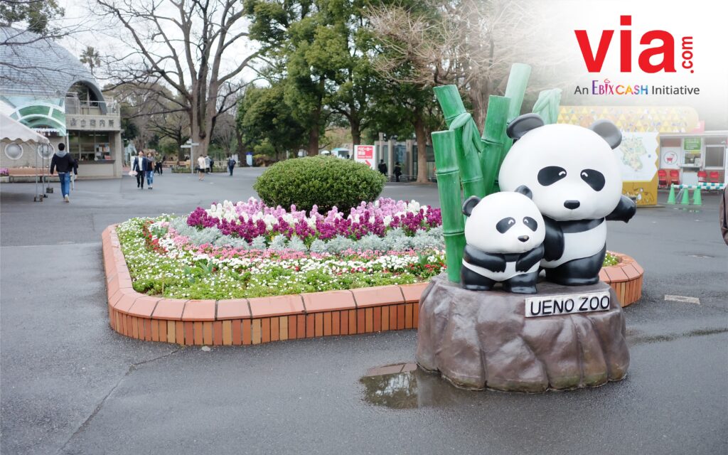 Ueno Zoo, Liburan ke Jepang