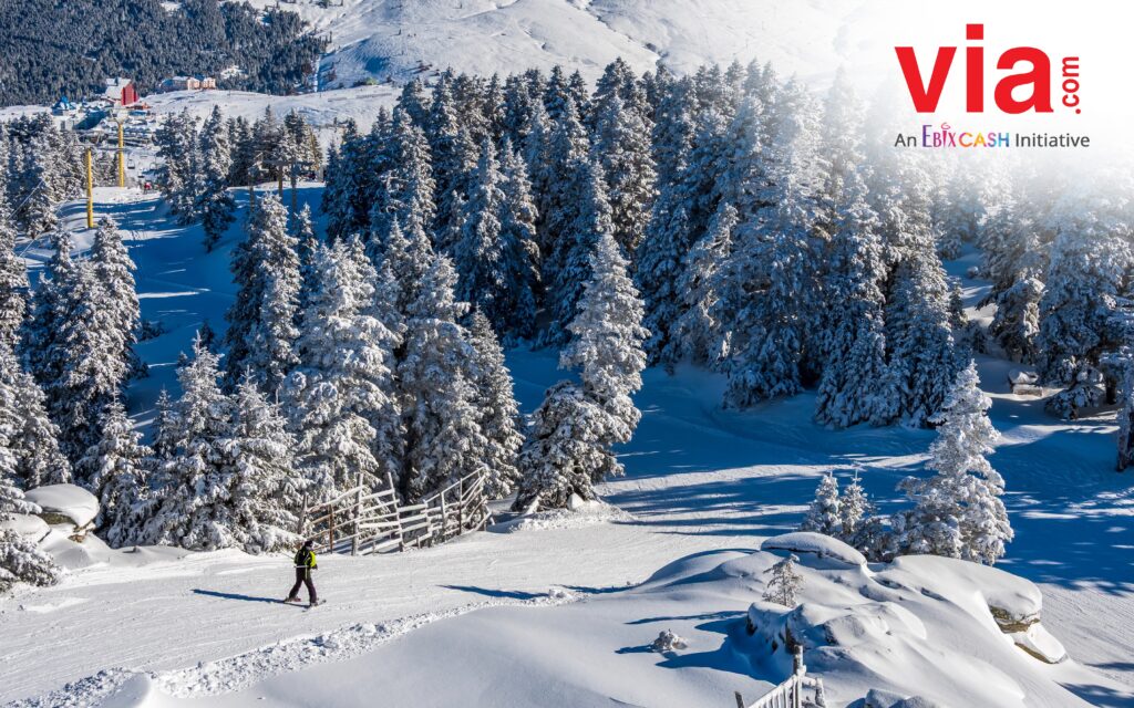 Negara Winter di Asia: Ini Destinasi Terbaik untuk Liburan Musim Dingin 