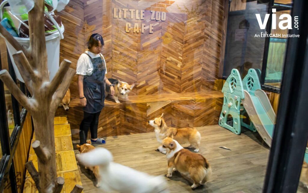 Rekomendasi Cafe Bangkok Unik & Aesthetic